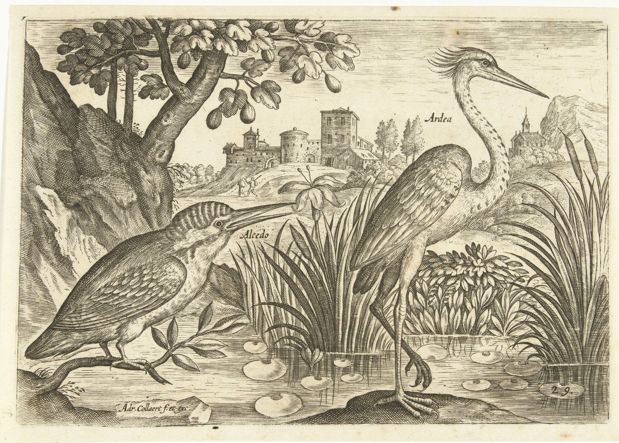 Deux oiseaux dans un paysage - Adriaen Collaert