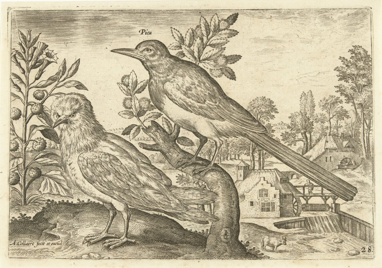 Deux oiseaux dans un paysage - Adriaen Collaert