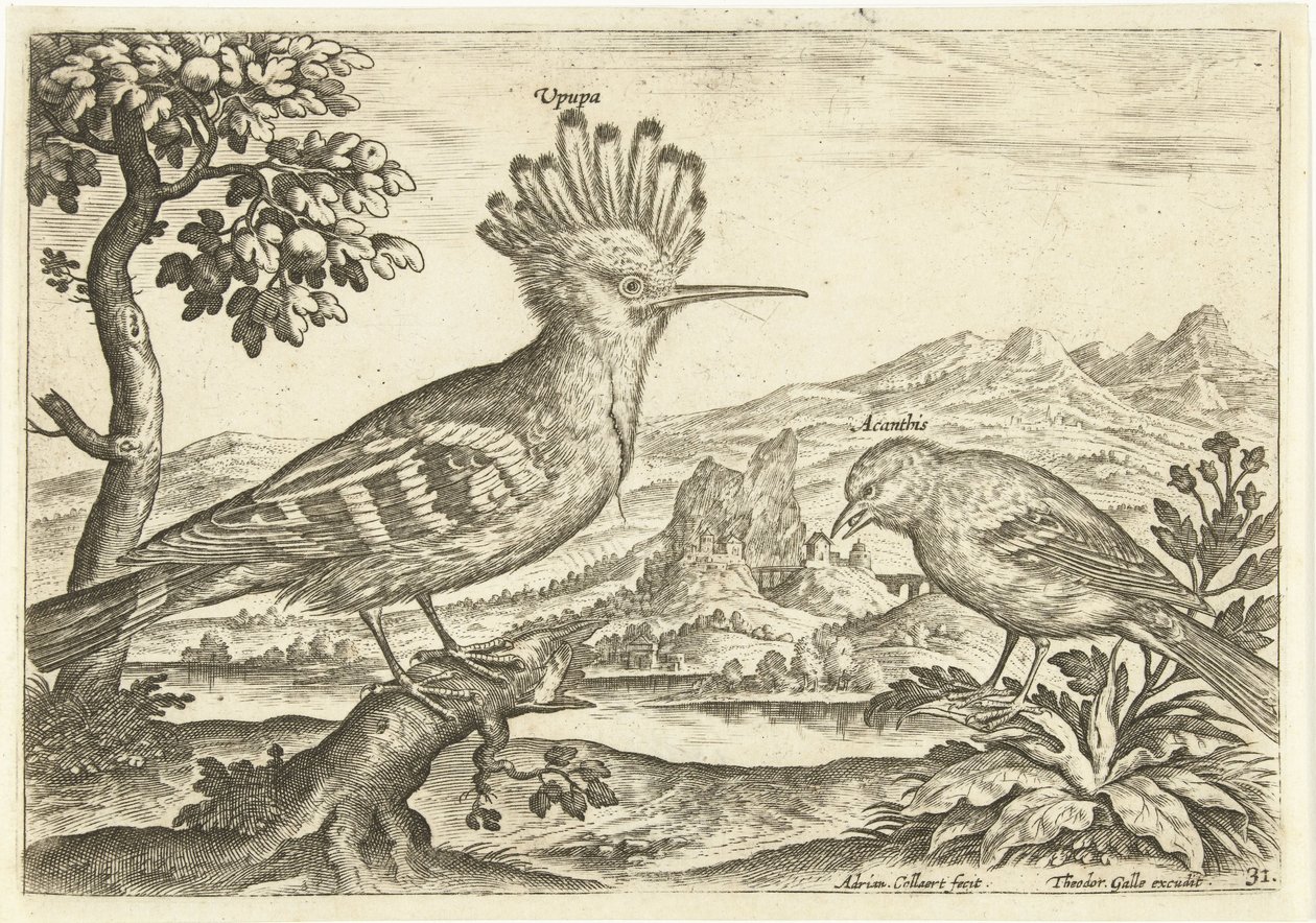 Deux oiseaux dans un paysage - Adriaen Collaert