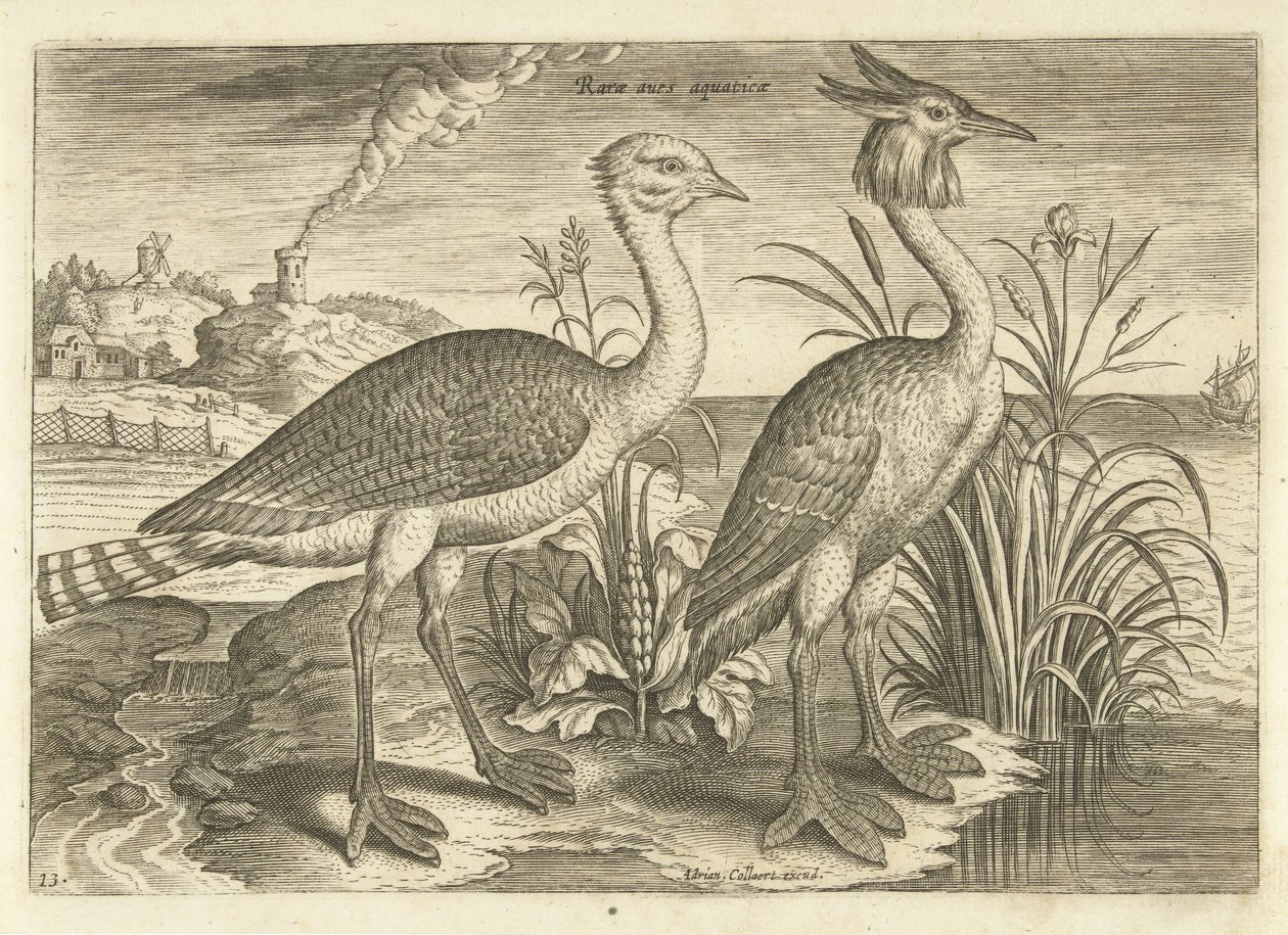 Deux échassiers dans un paysage - Adriaen Collaert