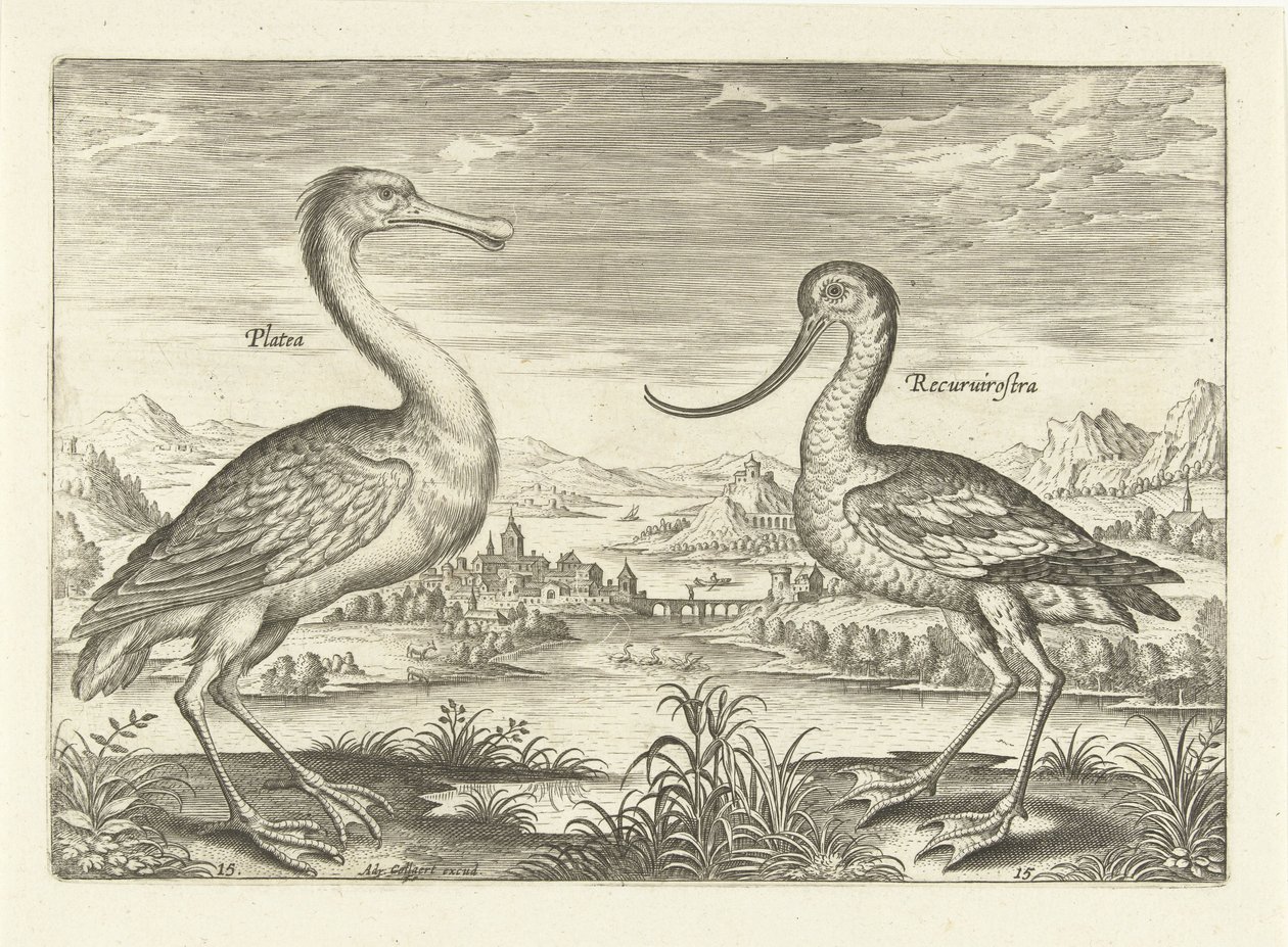 Twee waadvogels in een rivierlandschap - Adriaen Collaert