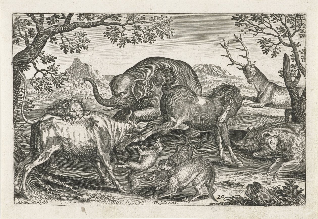 Animaux combattants, Animaux quadrupèdes (titre de la série) - Adriaen Collaert