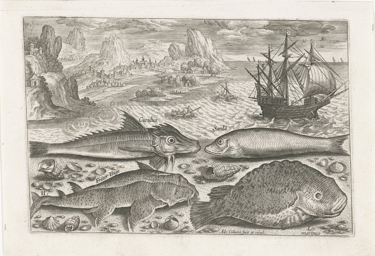 Quatre poissons sur la plage - Adriaen Collaert