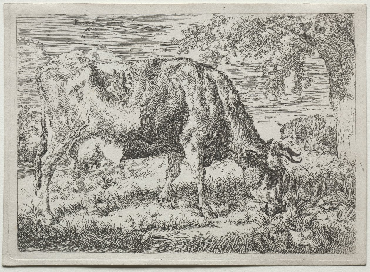 Vache et deux moutons au pied d