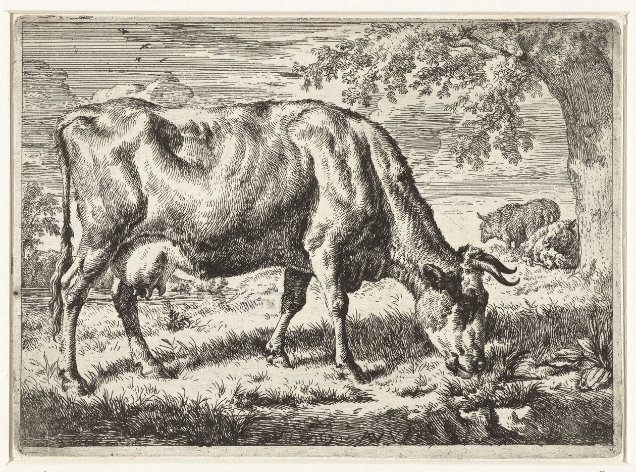 Vache broutant et deux moutons - Adriaen van de Velde