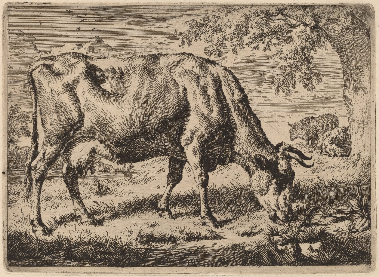 Vache broutant avec deux moutons - Adriaen van de Velde