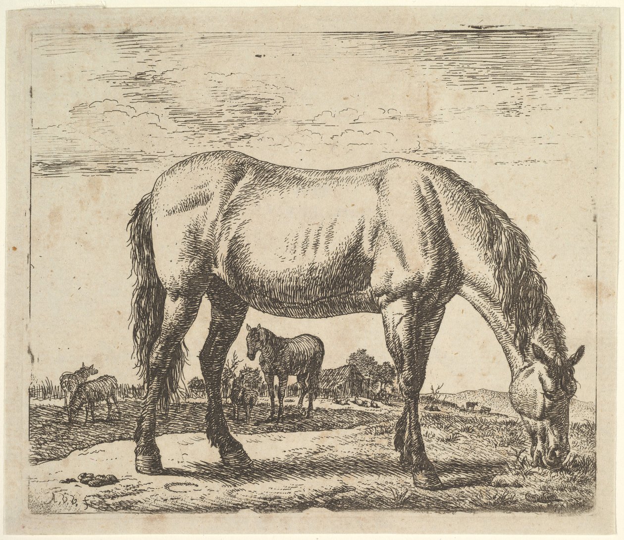 Cheval broutant, de Différents animaux - Adriaen van de Velde