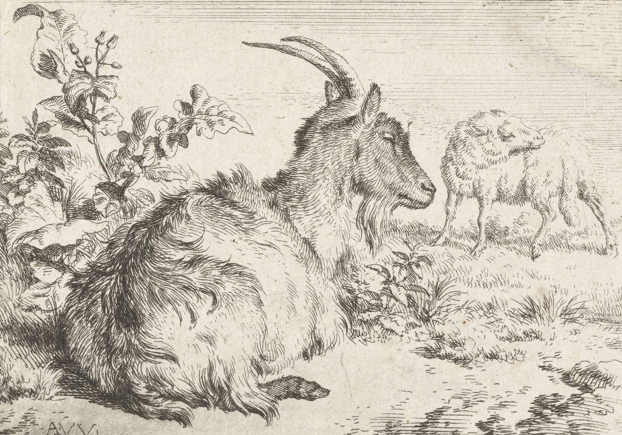 Chèvre couchée, 1670 - Adriaen van de Velde