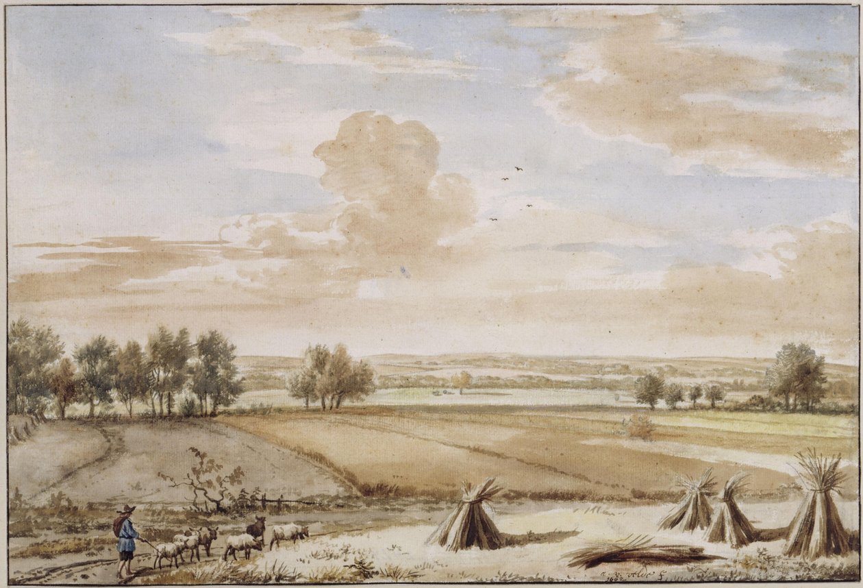 Paysage de plaine estival avec champs de céréales mûres - Adriaen van de Velde