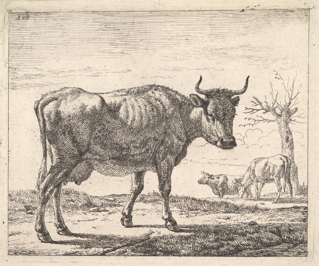 Trois vaches - Adriaen van de Velde