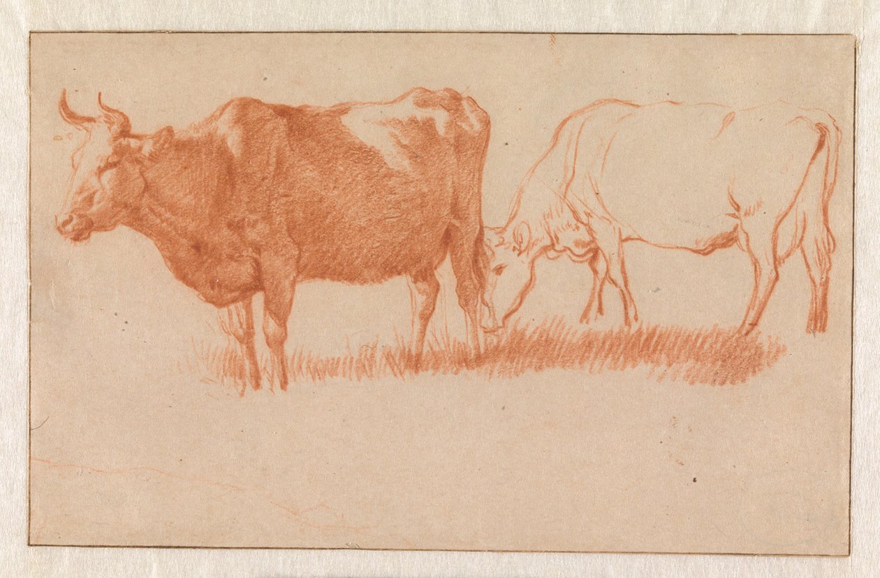 Deux vaches - Adriaen van de Velde