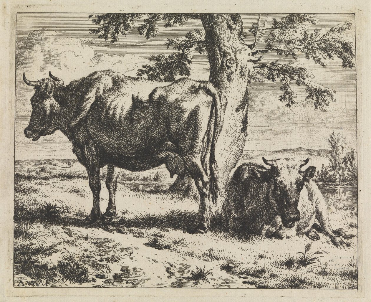 Deux vaches sous un arbre - Adriaen van de Velde