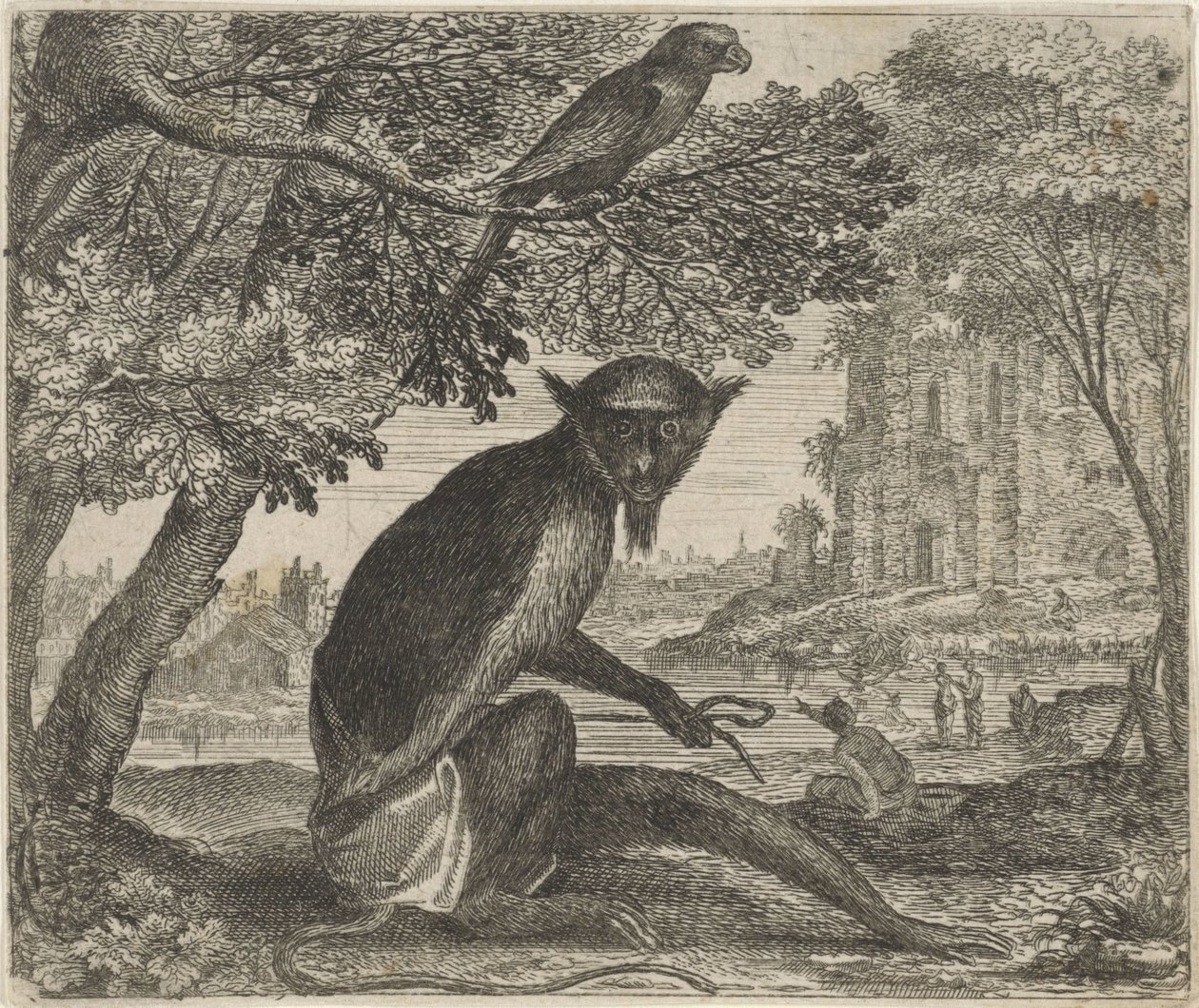 Fable du perroquet et du singe - Egidius  Sadeler (II)