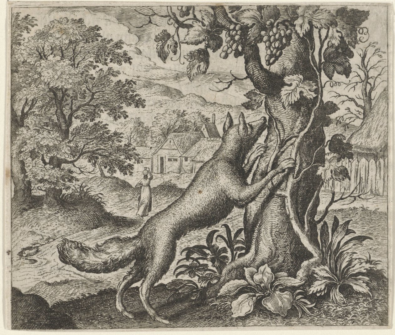 Fable du renard et des raisins - Egidius  Sadeler (II)