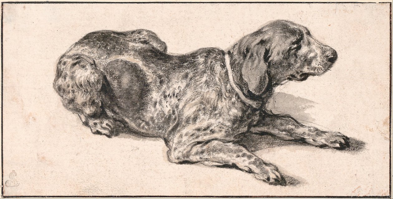 Chien allongé - Aelbert Cuyp
