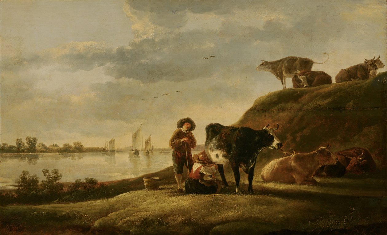 Bétail au bord d