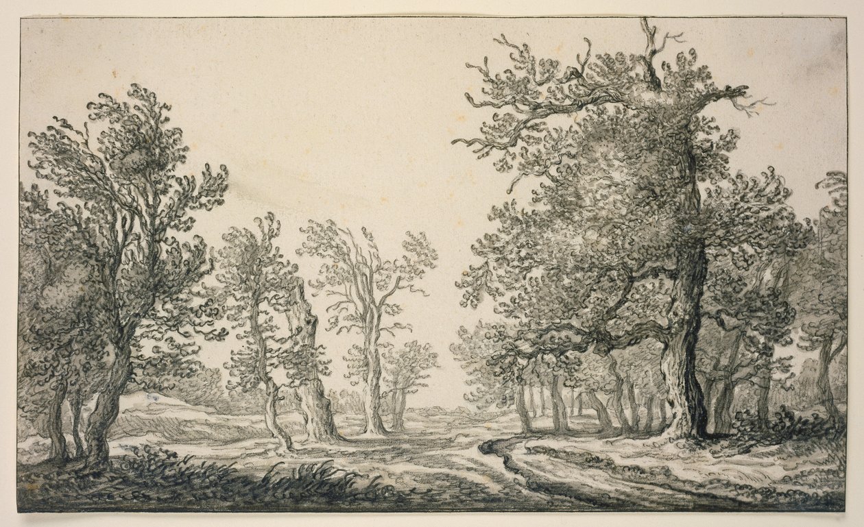 Sentier à travers une forêt de chênes - Aelbert Cuyp
