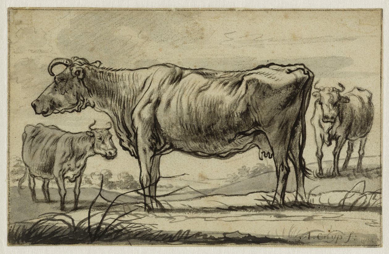 Trois vaches au pâturage (Lugt 16) - Aelbert Cuyp