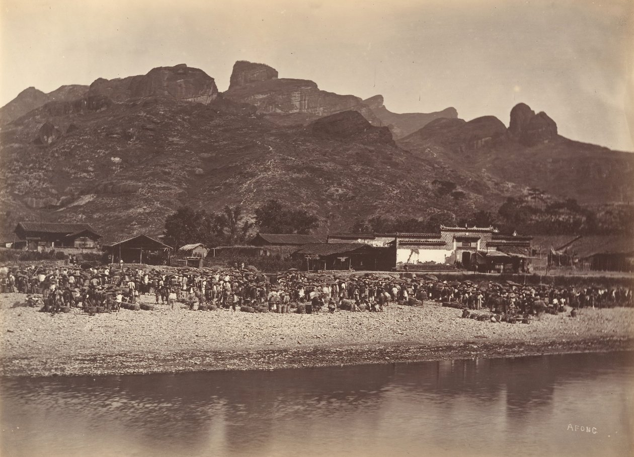 Marché aux canards, vers 1869 - Afong Lai