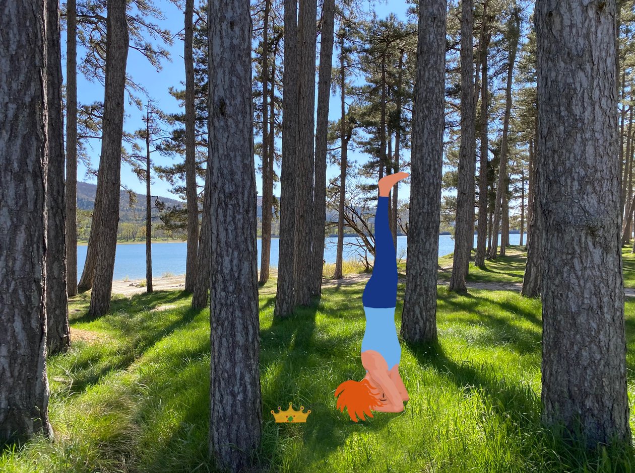 Sirsasana - Agnes Girardon