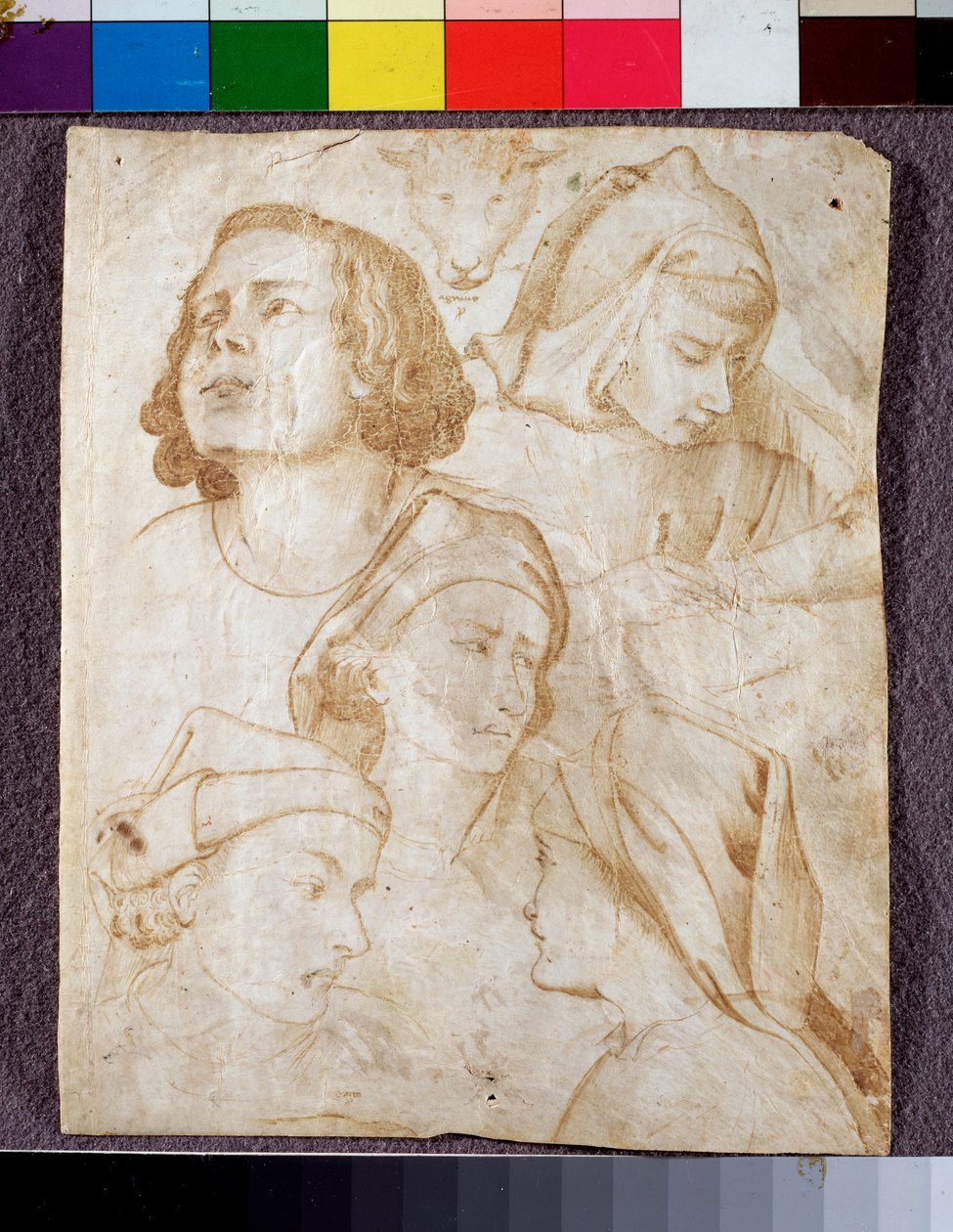 Têtes - Agnolo Gaddi