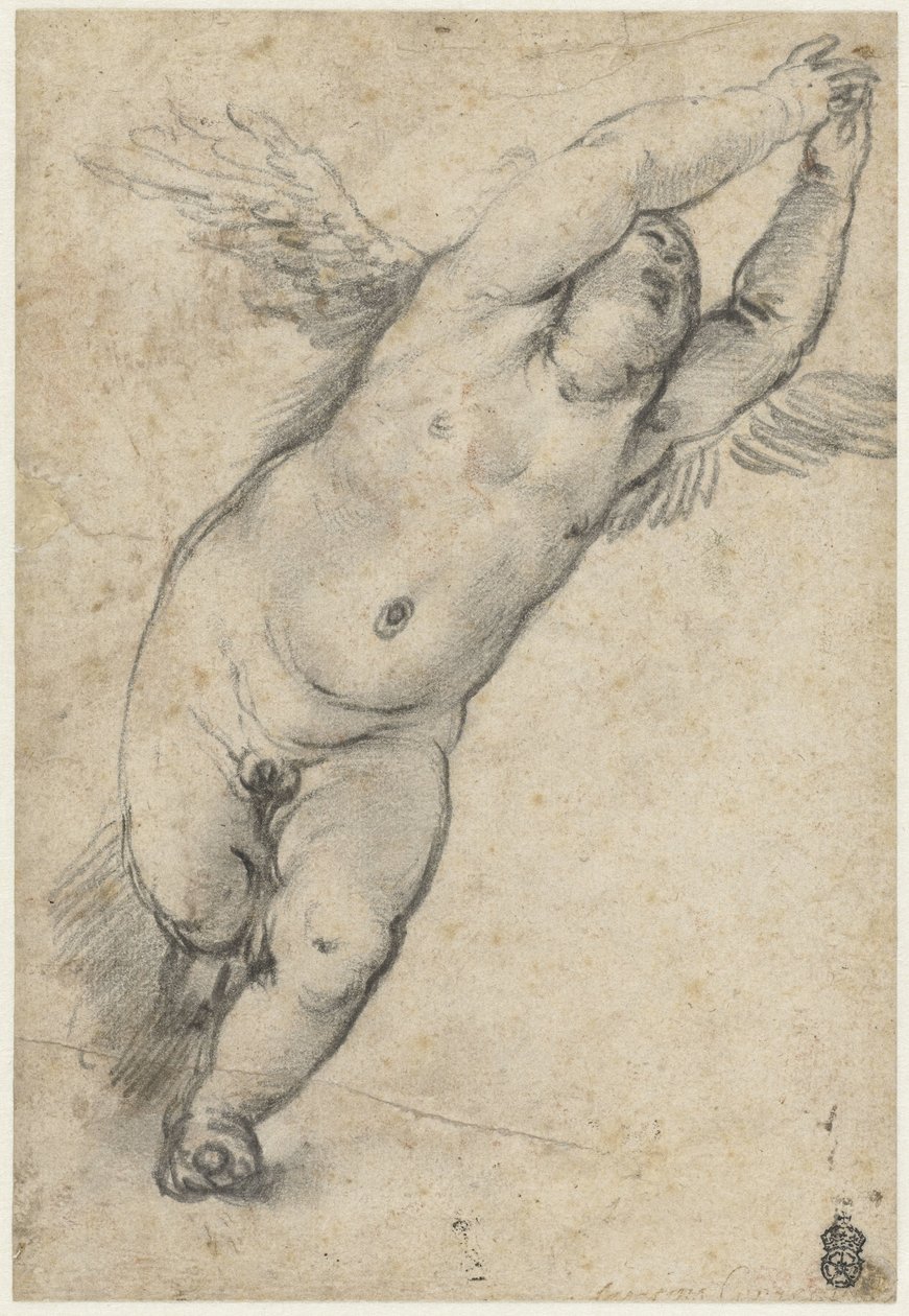Putto volant avec bras levés - Agostino Carracci (attributed to)