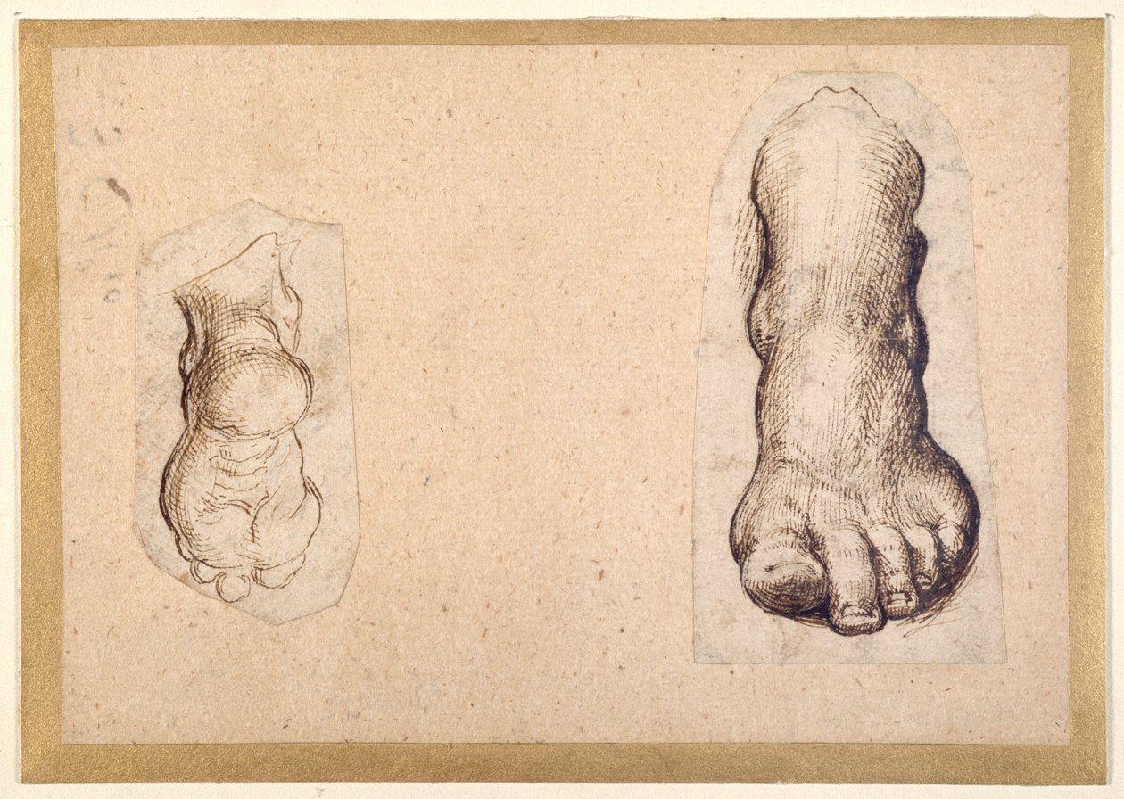 Deux études d