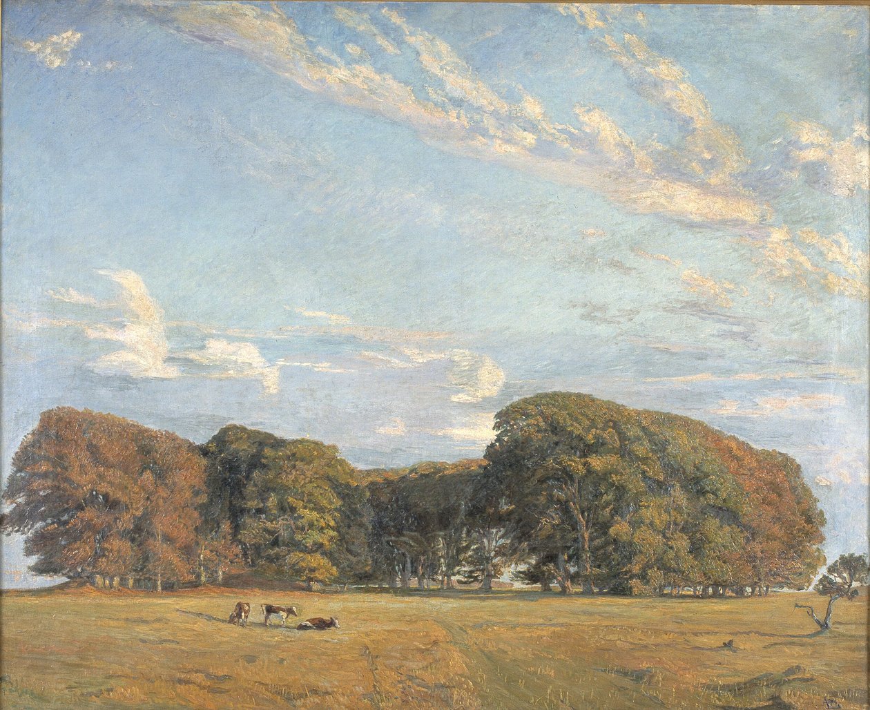 La plaine de l