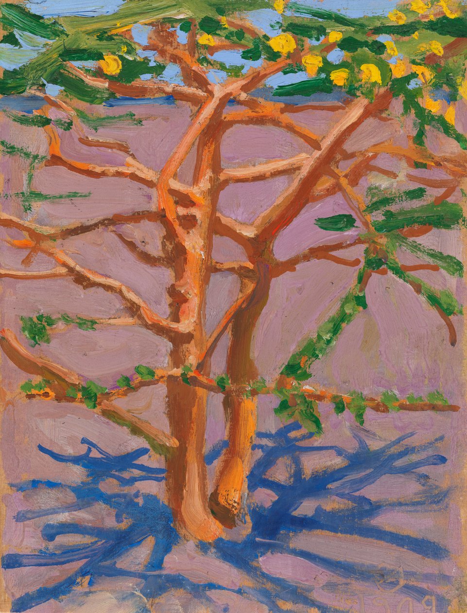 Acacia dans la savane - Akseli Gallen-Kallela