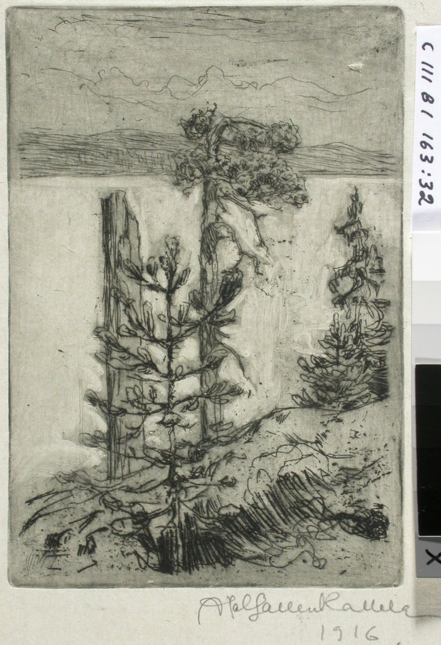 Paysage au bord d
