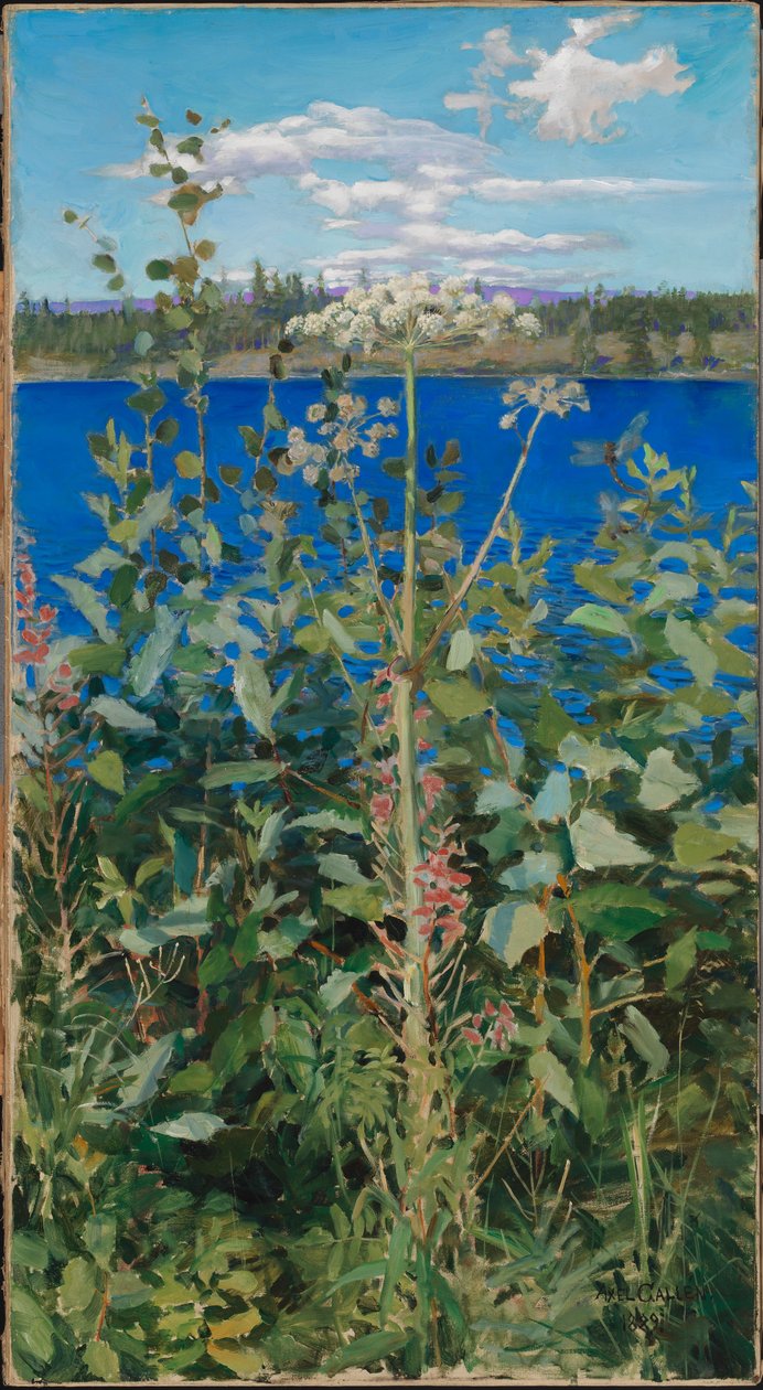 Angélique sauvage - Akseli Gallen-Kallela