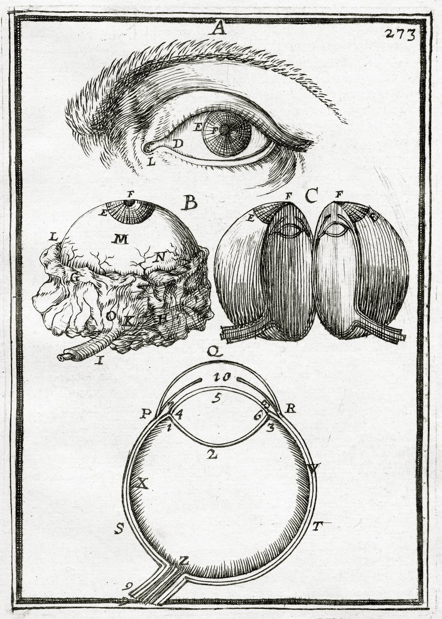 Illustration de La Géométrie Pratique 1702 - Alain Manesson Mallet