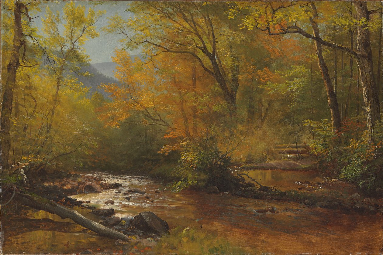 Ruisseau dans les bois - Albert Bierstadt