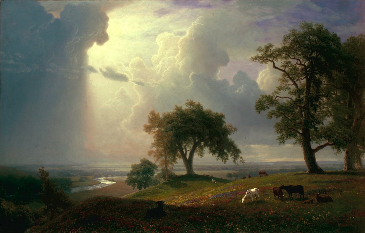 Le printemps en Californie  - Albert Bierstadt