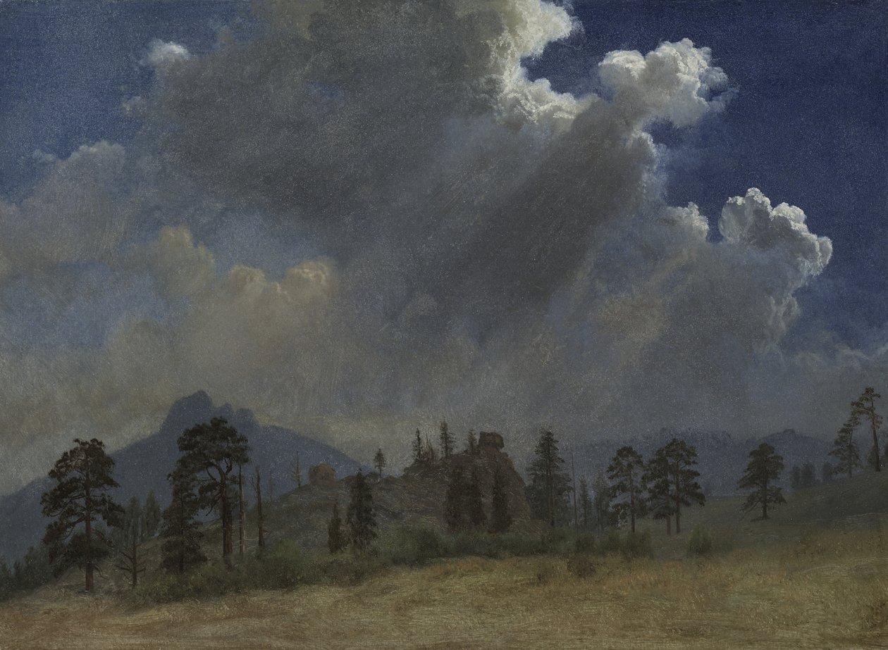 Sapins et nuages d