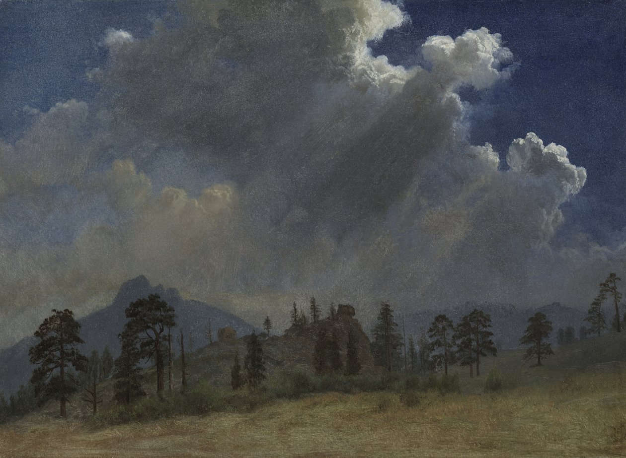 Sapin et nuages d