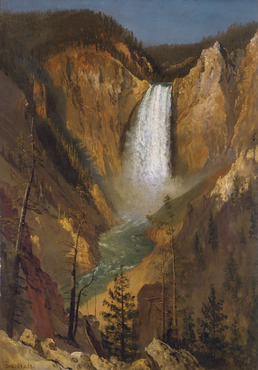 Les chutes inférieures du Yellowstone - Albert Bierstadt