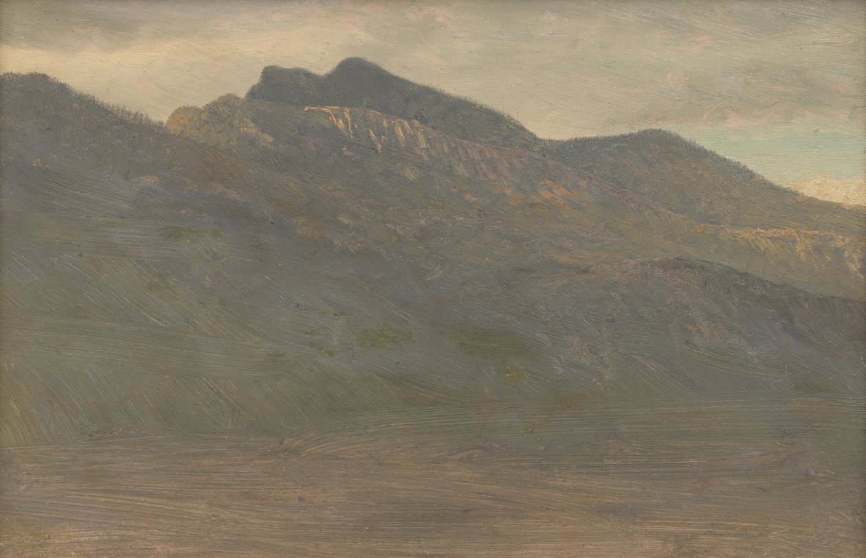 Vue sereine sur les montagnes (White Mountains, New Hampshire) - Albert Bierstadt