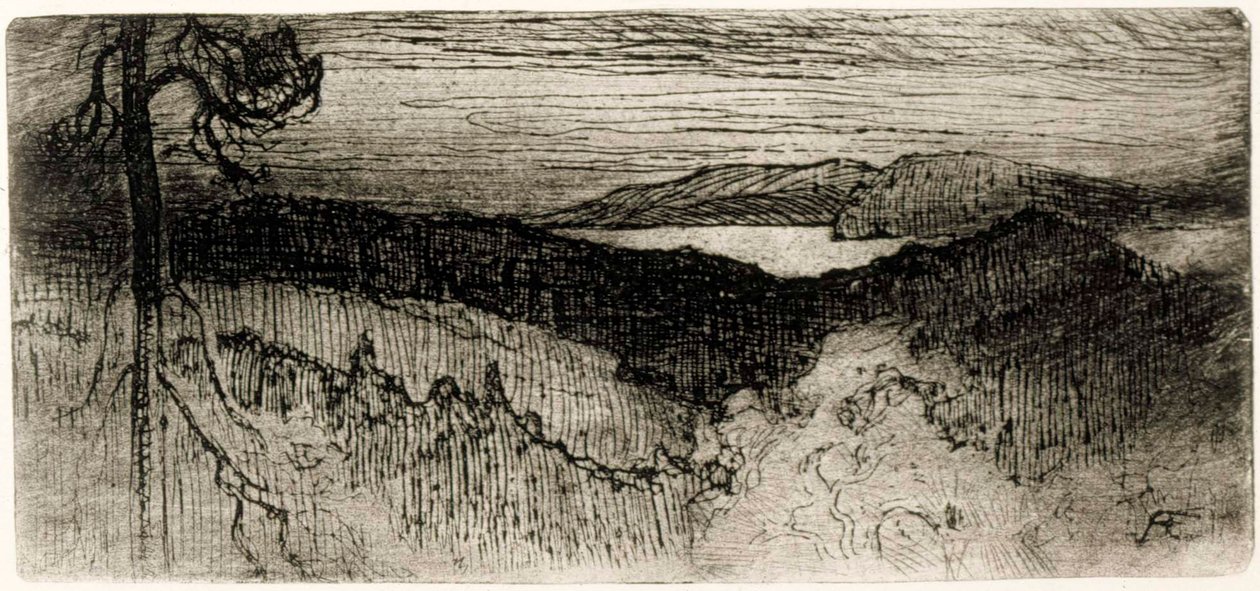 Paysage de Tavastia - Albert Edelfelt