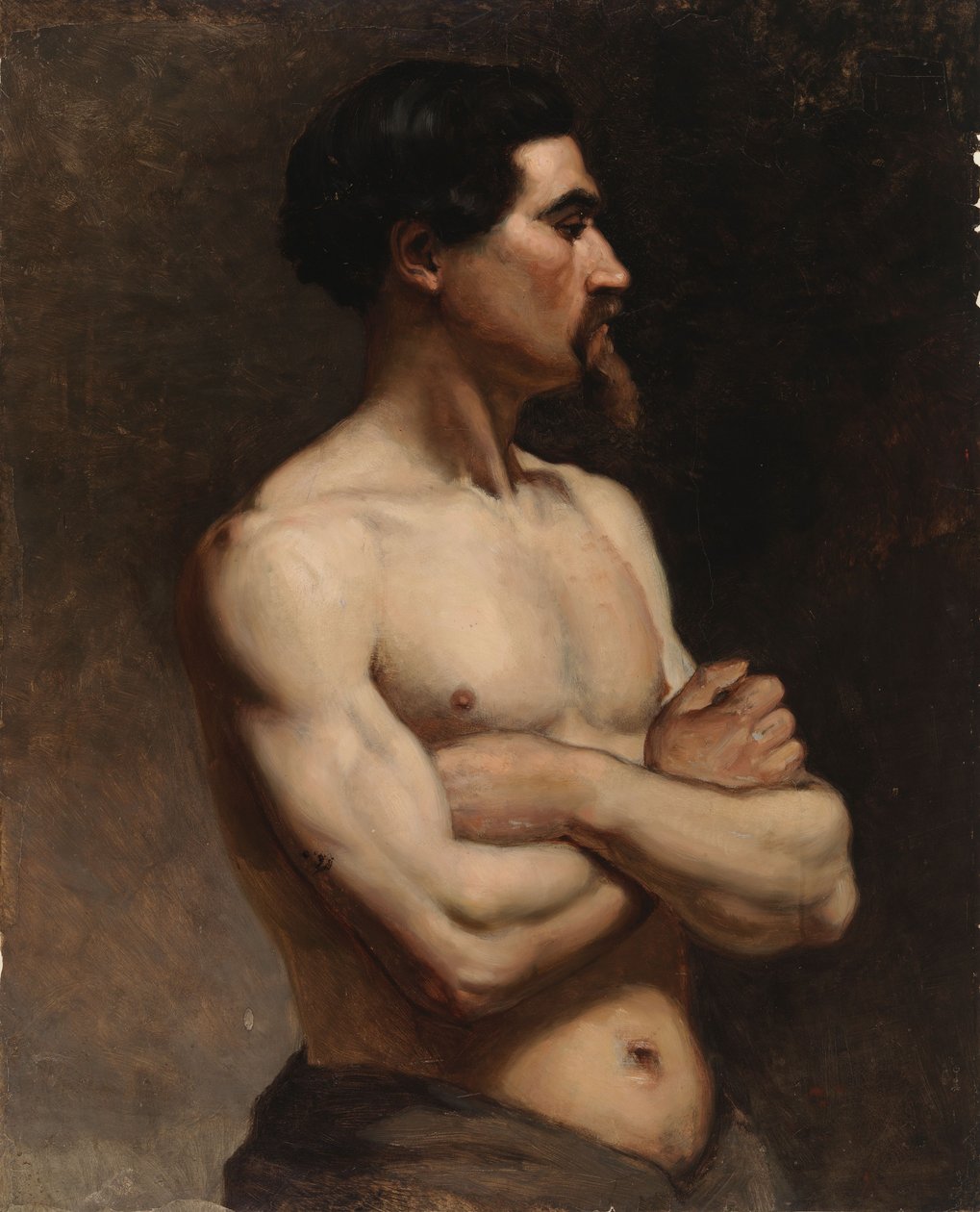 Modèle masculin, étude d