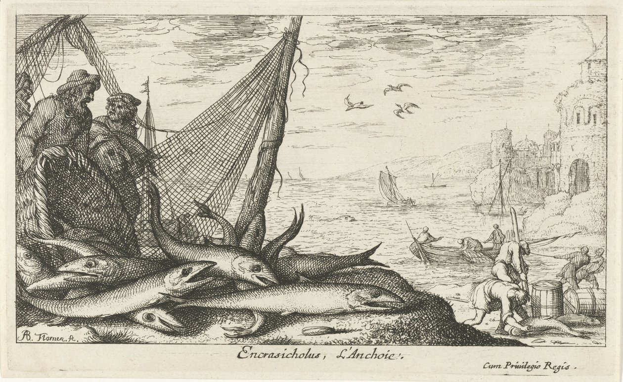 Anchois près d