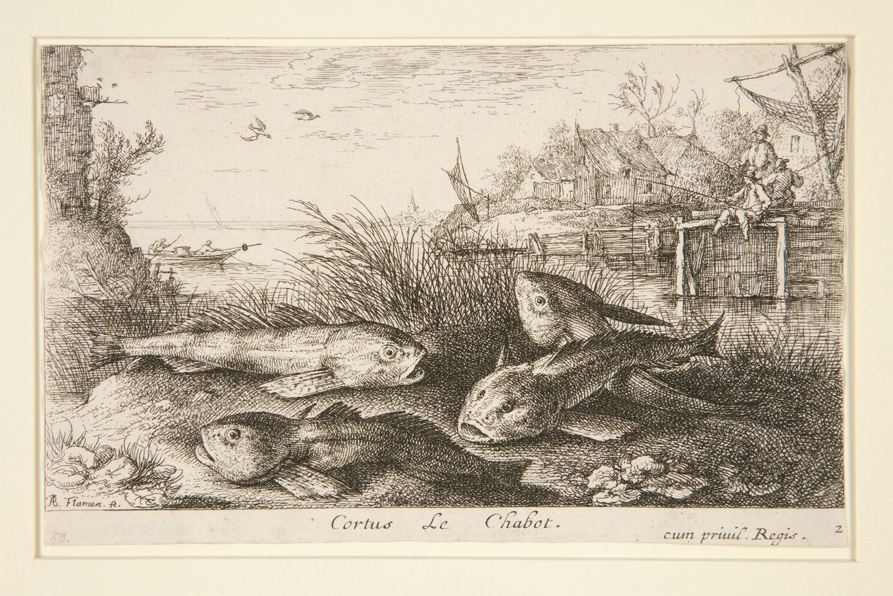Cortus, Le Chabot - Albert Flamen