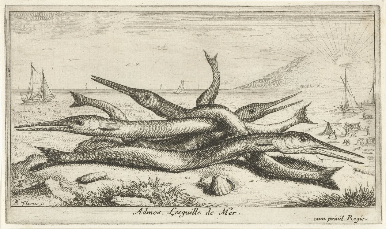 Poissons sur la plage - Albert Flamen