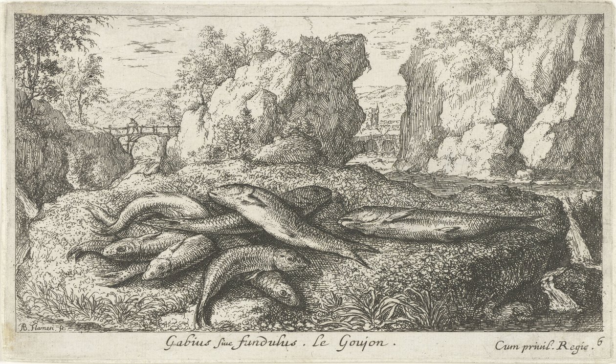 Goujons sur une rive (Poissons et autres animaux marins - eau douce deuxième série) - Albert Flamen