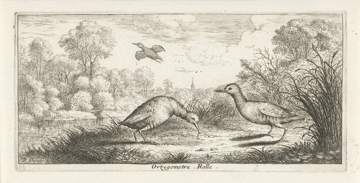 Paysage avec deux râles sur une rive - Albert Flamen