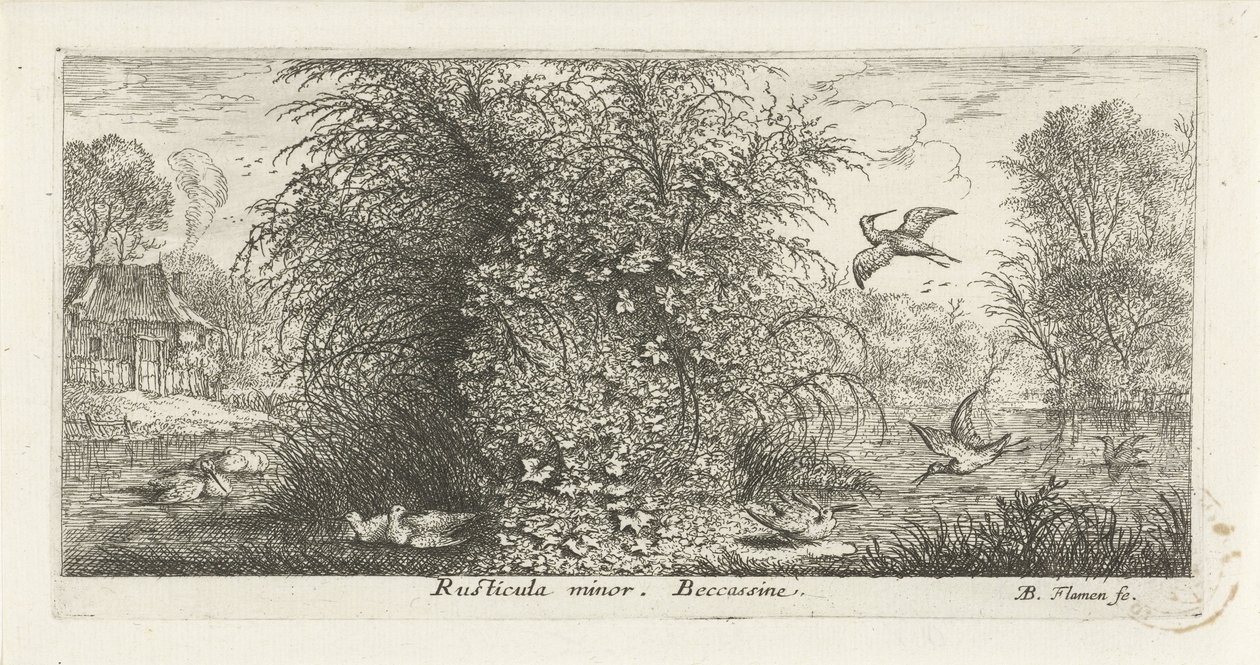 Paysage avec bécassine (Rusticula minor. beccassine., Vogelboek, Livre d
