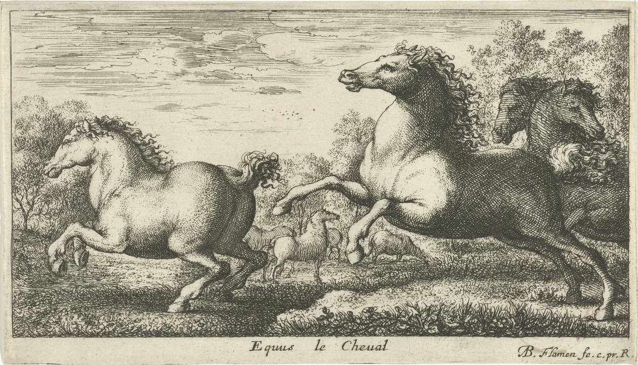 Chevaux (série Diverses espèces animales) - Albert Flamen