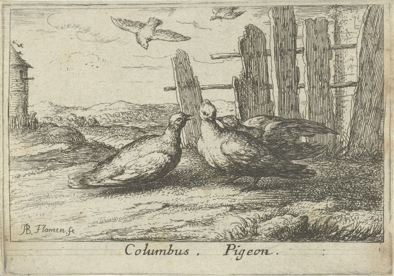 Deux pigeons près d