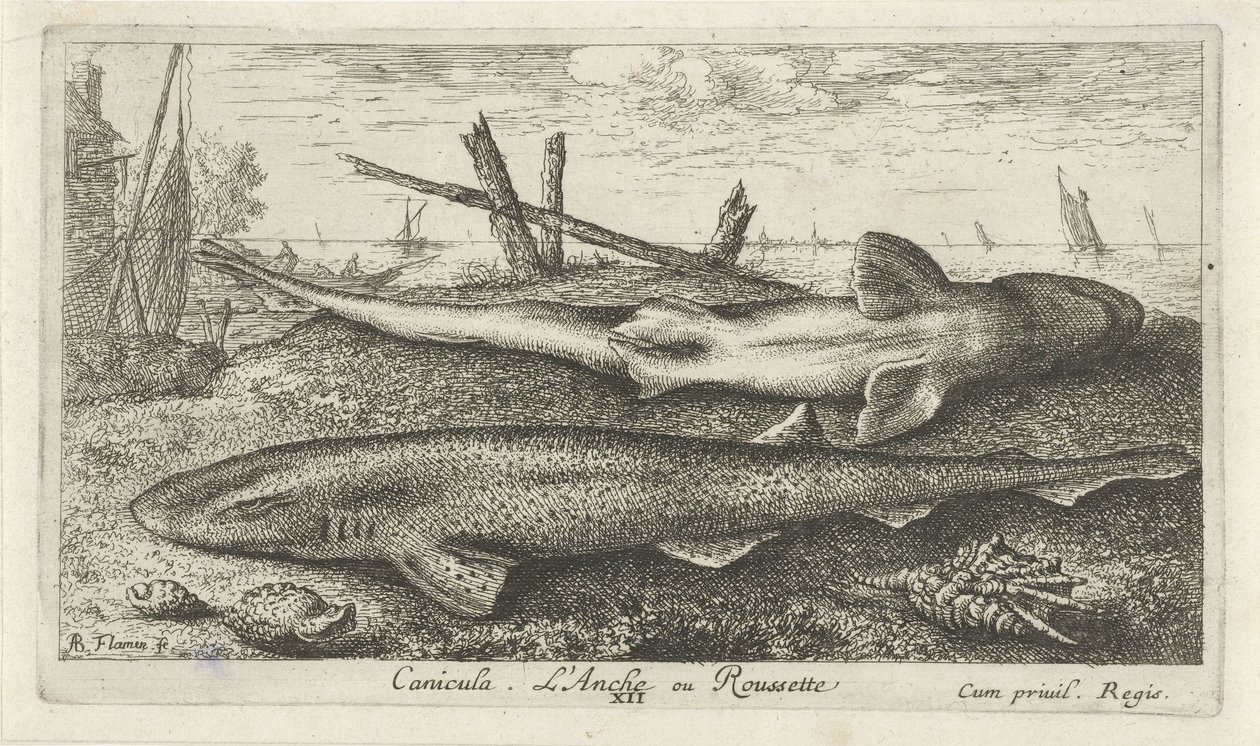 Deux roussettes sur la plage - Albert Flamen