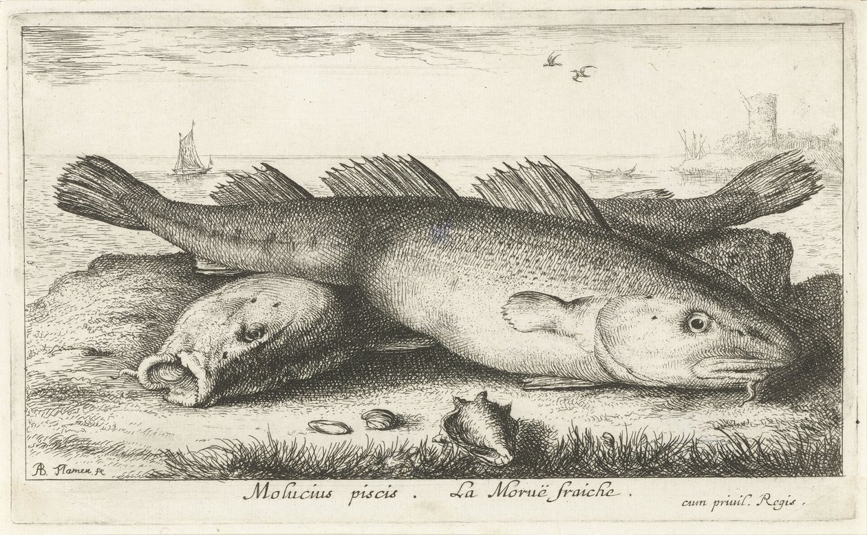 Deux morues sur la plage (Poissons de mer) - Albert Flamen